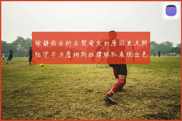 徐静雨分析东契奇失利原因里夫斯防守不力詹姆斯独撑球队表现出色