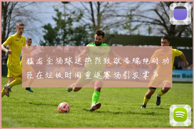 猛龙全场球迷热烈致敬洛瑞绝对功臣在垃圾时间重返赛场引发掌声