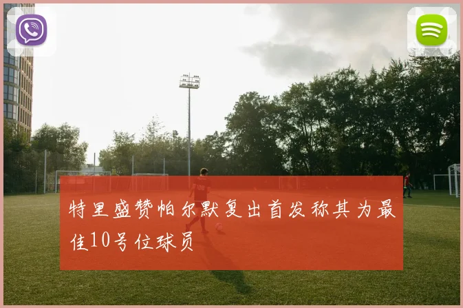 特里盛赞帕尔默复出首发称其为最佳10号位球员