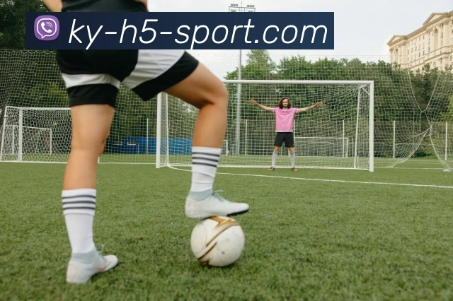 开云体育发展历程